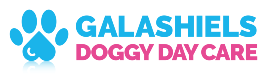 Galashiels Doggy Day Care